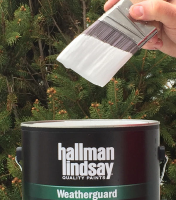 hallman paint